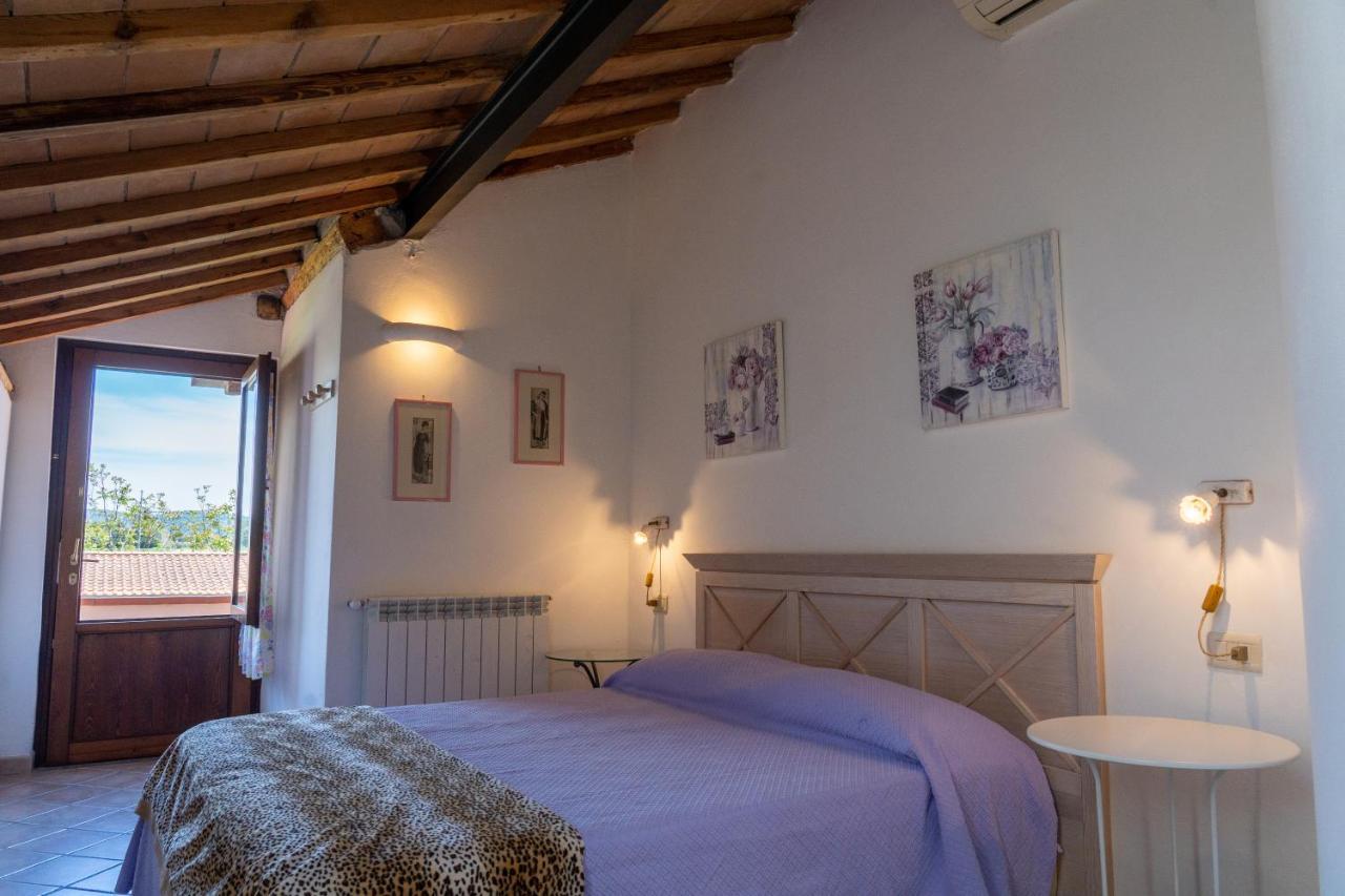 Maremma Toscana Piscina & Idromassaggio غروسيتو المظهر الخارجي الصورة